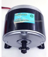 Generador DC de iman permanente 300W