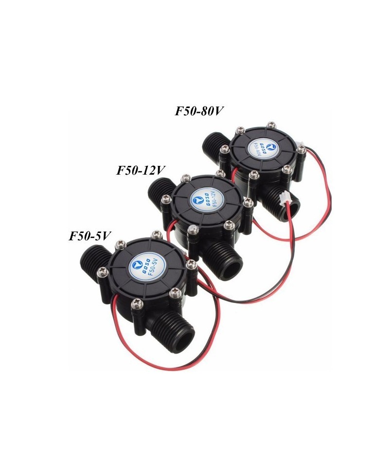 Mini generador eléctrico de ½ 10W F50