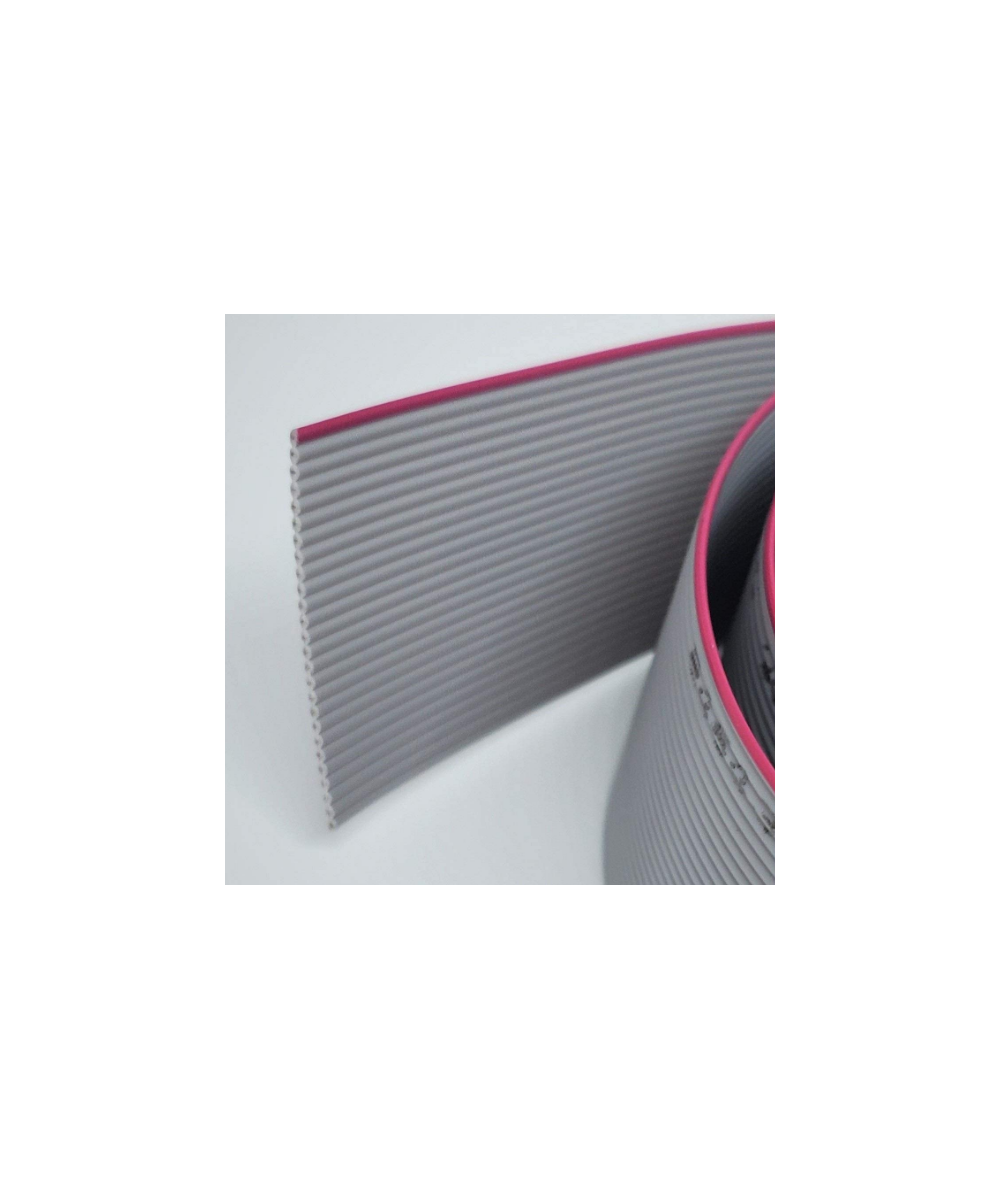 Faja de datos 26 / 40 pines 2m