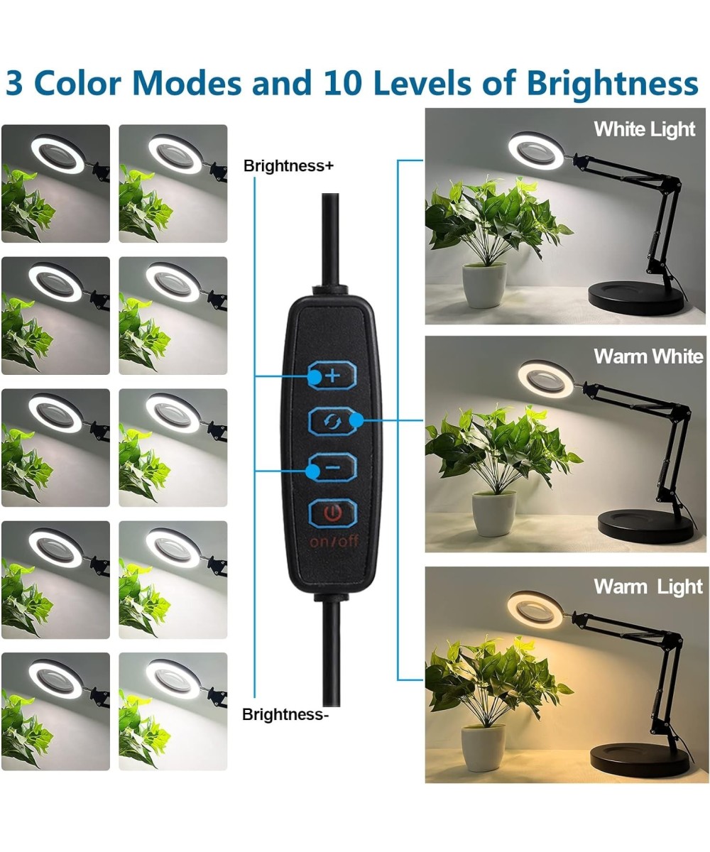 Lupa de mesa grande 10X con base HITTI