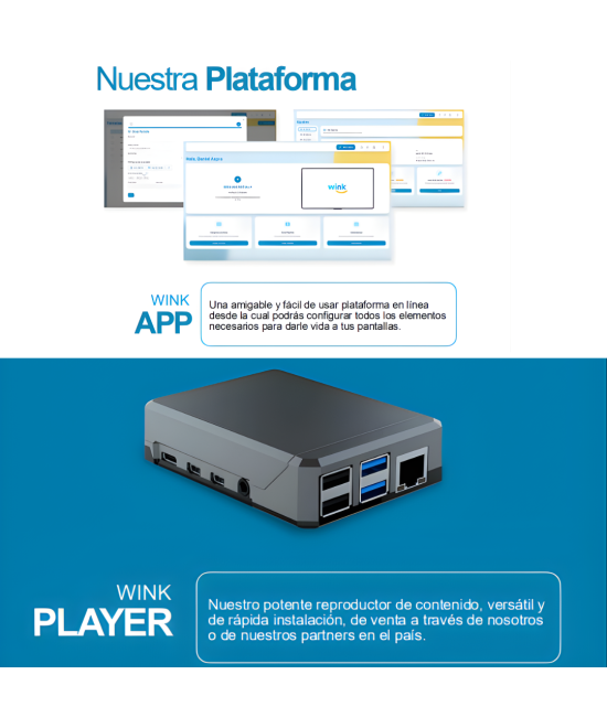 Plan Empresarial Wink