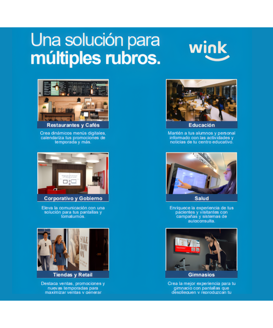 Plan Empresarial Wink