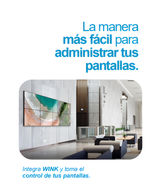 Plan Empresarial Wink