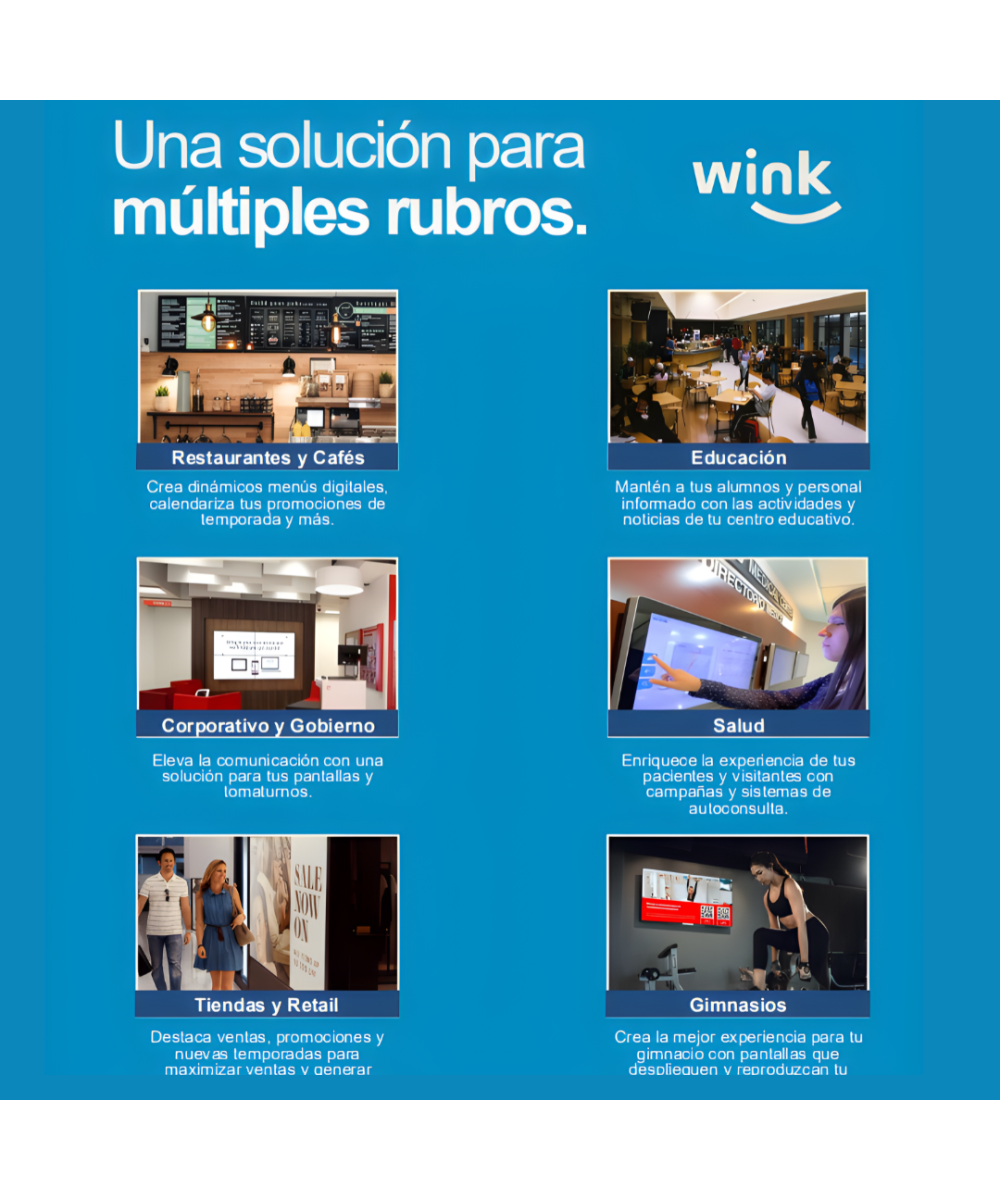 Plan Basico Wink