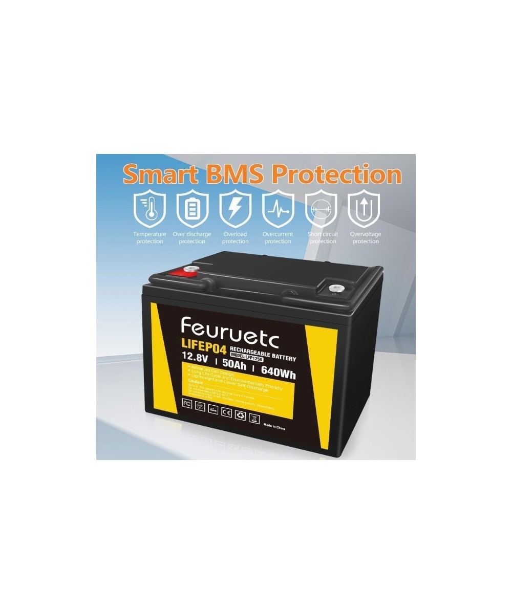 Batería de ciclo profundo LiFePO4 de 12V 50Ah recargable FEURUETC