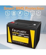 Batería de ciclo profundo LiFePO4 de 12V 50Ah recargable FEURUETC