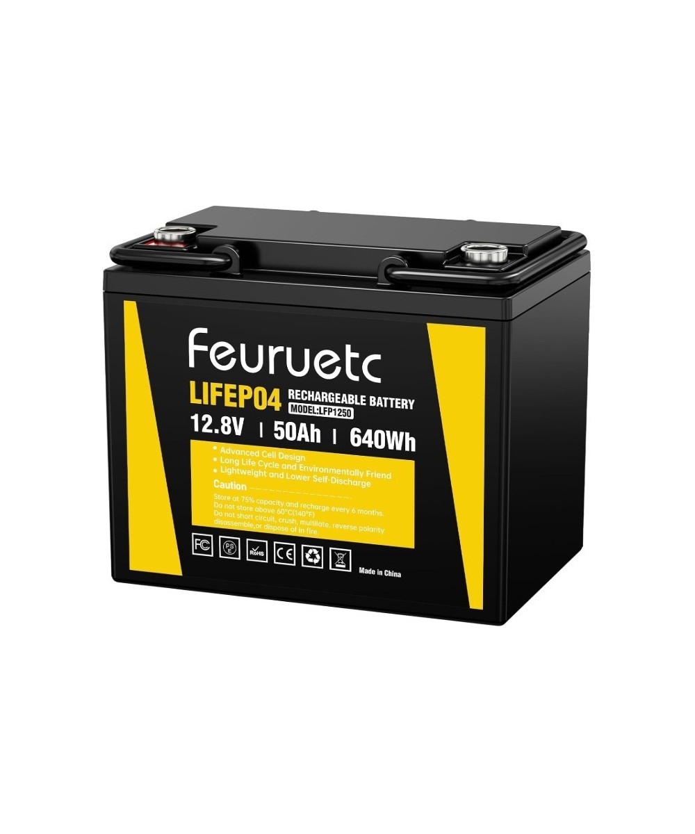 Batería de ciclo profundo LiFePO4 de 12V 50Ah recargable FEURUETC