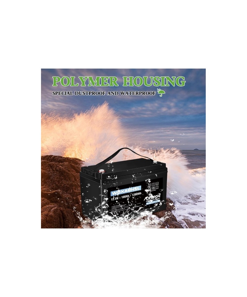 Batería de ciclo profundo LiFePO4 de 12V 100Ah recargable WOXABHSL