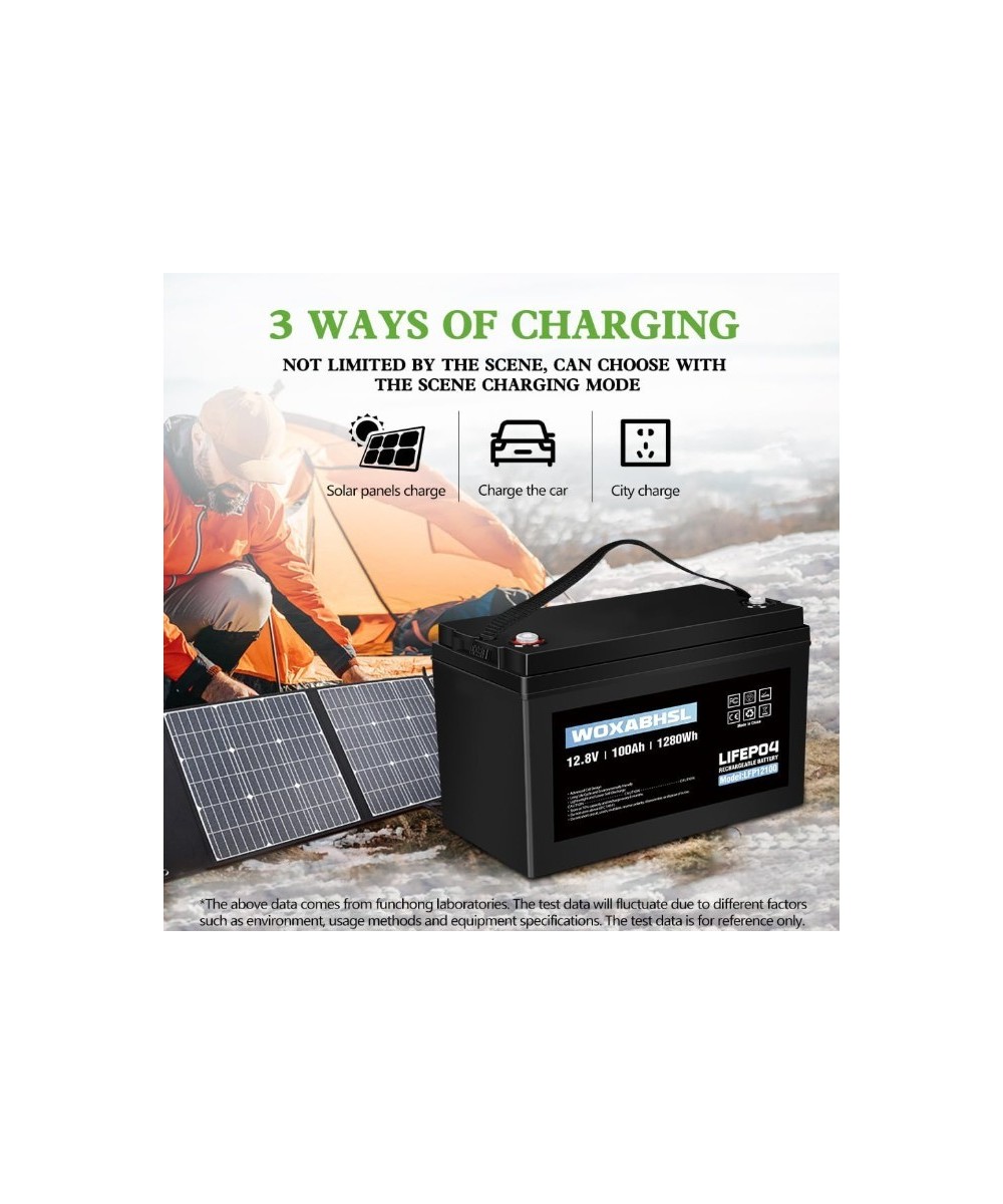 Batería de ciclo profundo LiFePO4 de 12V 100Ah recargable WOXABHSL