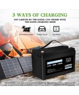 Batería de ciclo profundo LiFePO4 de 12V 100Ah recargable WOXABHSL