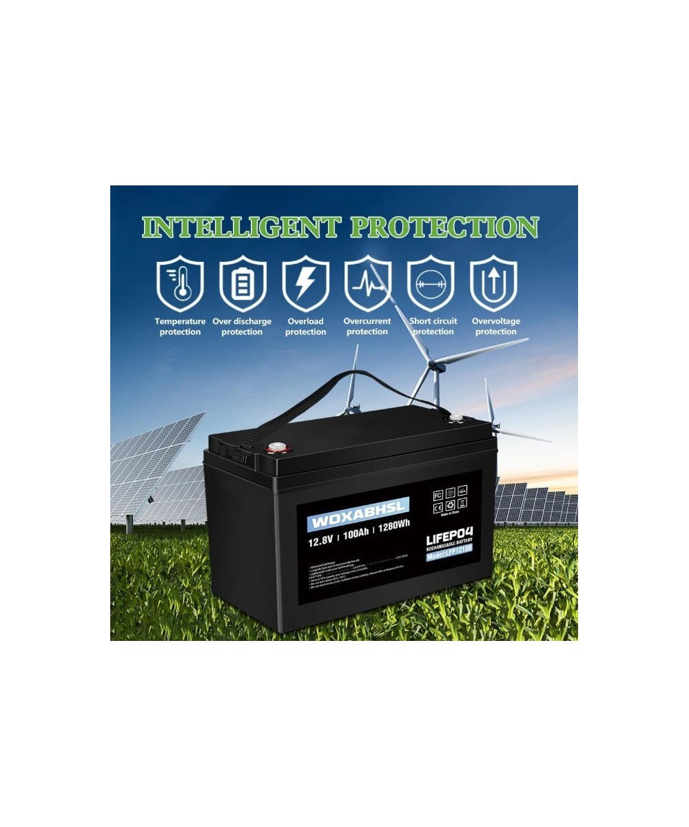 Batería de ciclo profundo LiFePO4 de 12V 100Ah recargable WOXABHSL