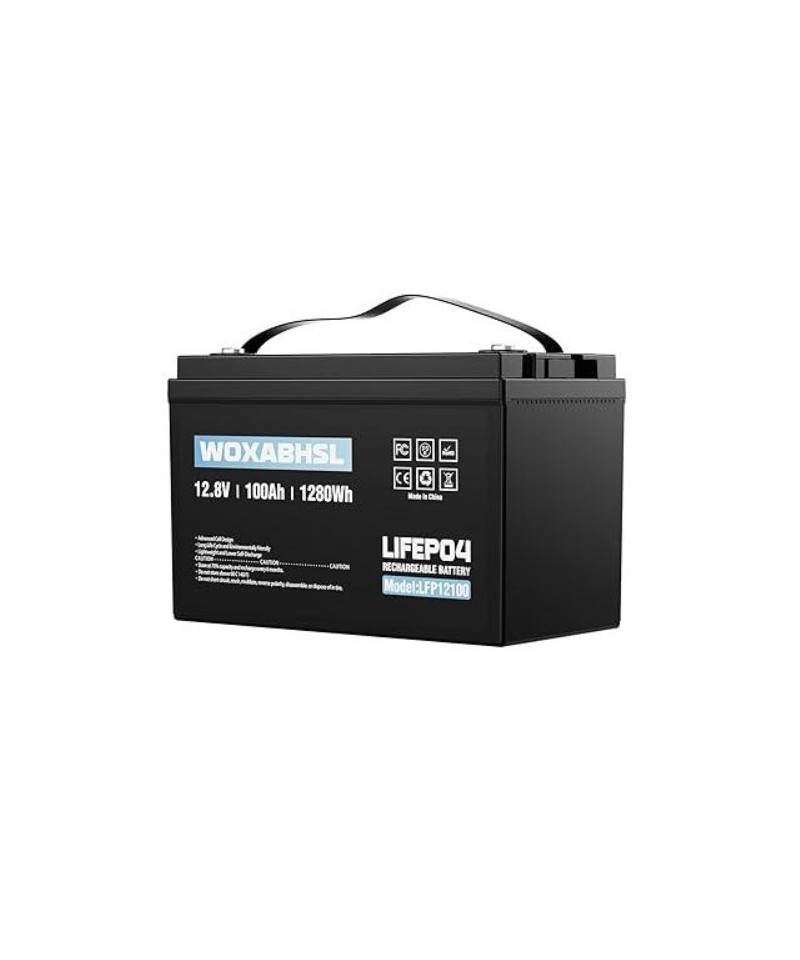 Batería de ciclo profundo LiFePO4 de 12V 100Ah recargable WOXABHSL