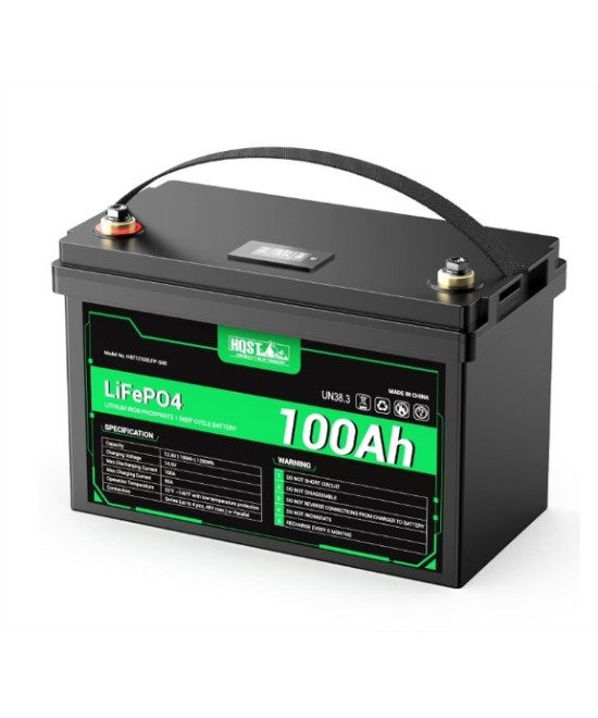 Bateria de ciclo profundo LiFePO4 de 12V 100Ah recargable con Medidor led HQST