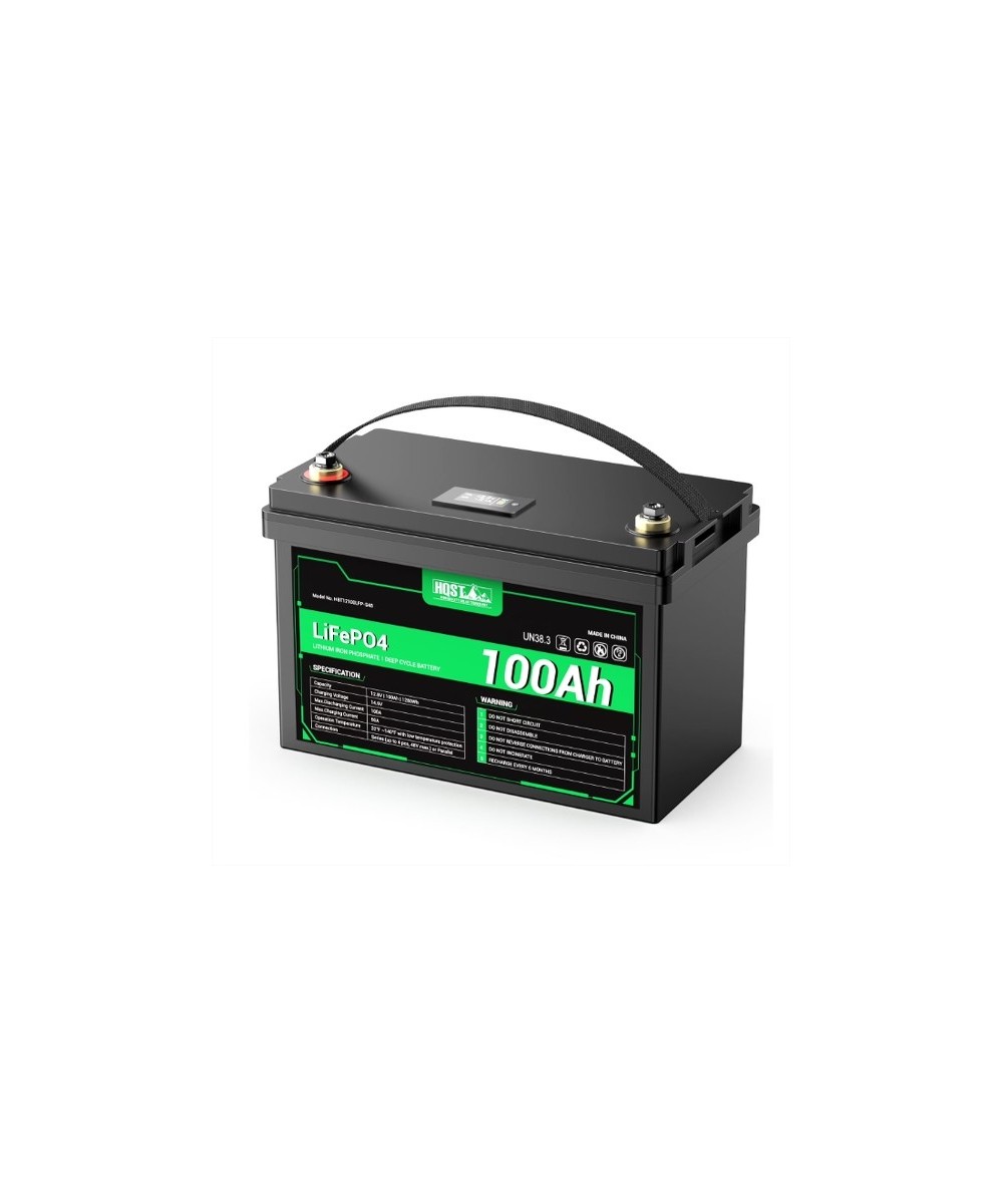 Bateria de ciclo profundo LiFePO4 de 12V 100Ah recargable con Medidor led HQST