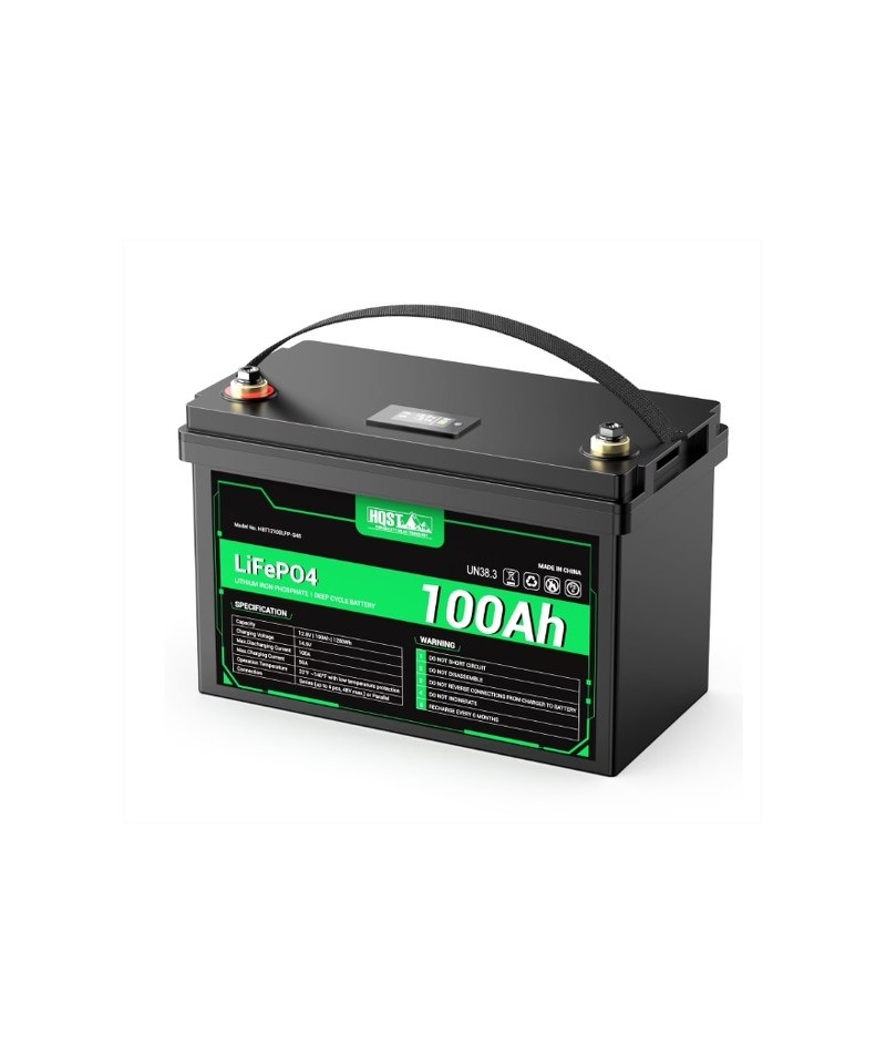 Bateria de ciclo profundo LiFePO4 de 12V 100Ah recargable con Medidor led HQST