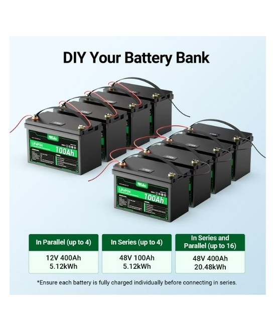 Bateria de ciclo profundo LiFePO4 de 12V 100Ah recargable con Medidor led HQST