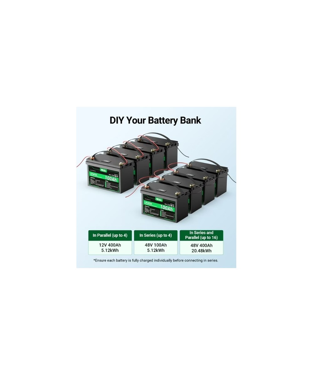 Bateria de ciclo profundo LiFePO4 de 12V 100Ah recargable con Medidor led HQST