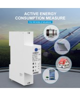 Monitor Inteligente de Energia Bidireccional WIFI  63A TOMZN DDS238-1-W1