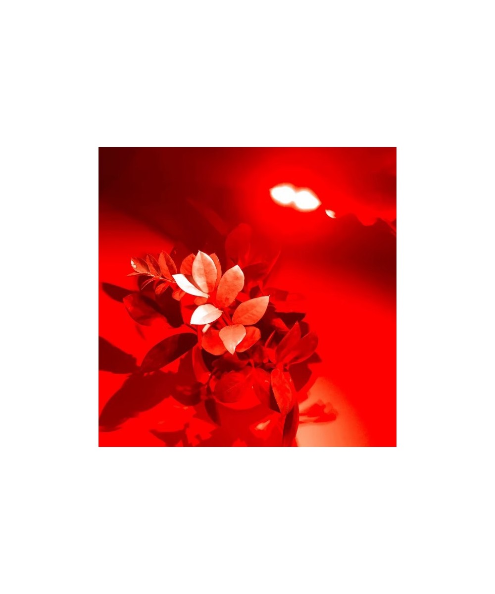 Panel LED SMD 5730 de alto brillo de 5V 1.5W con cable