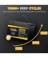 Batería de ciclo profundo LiFePO4 de 12V 100Ah recargable FEURUETC