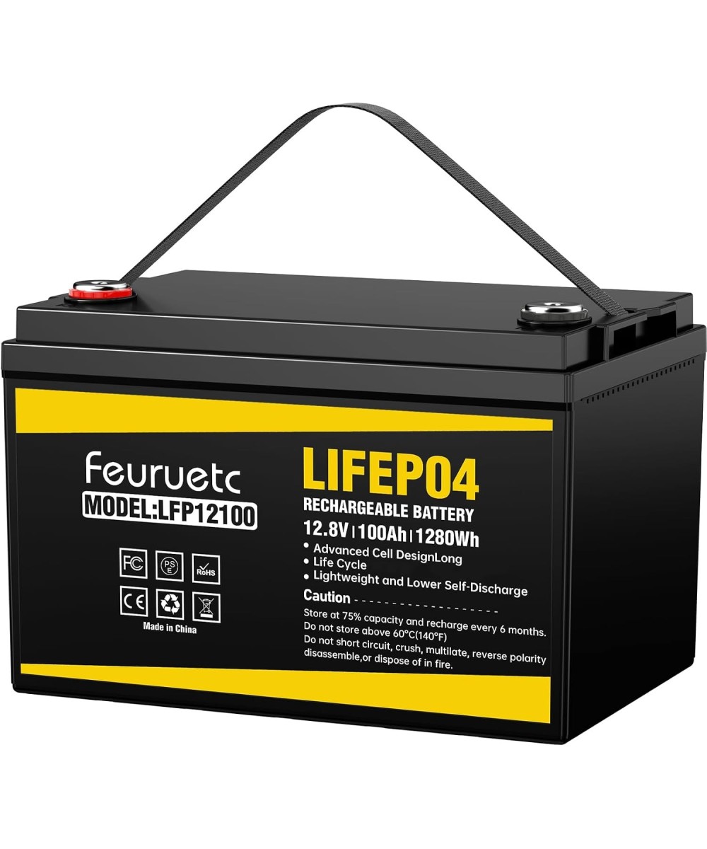 Batería de ciclo profundo LiFePO4 de 12V 100Ah recargable FEURUETC