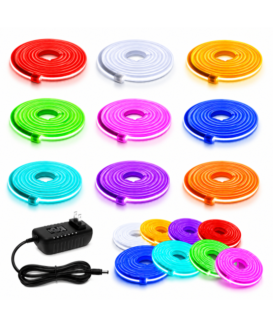 Tira Led Neon Flex LED de 5 metros 12v 2a con fuente