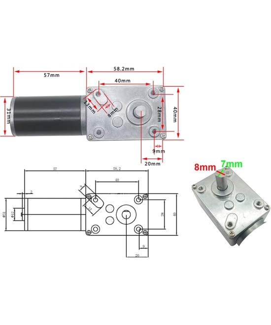 Motorreductor doble eje 12V