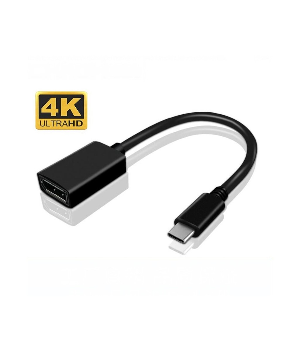 Adaptador USB-C a Display Port DP 20cm