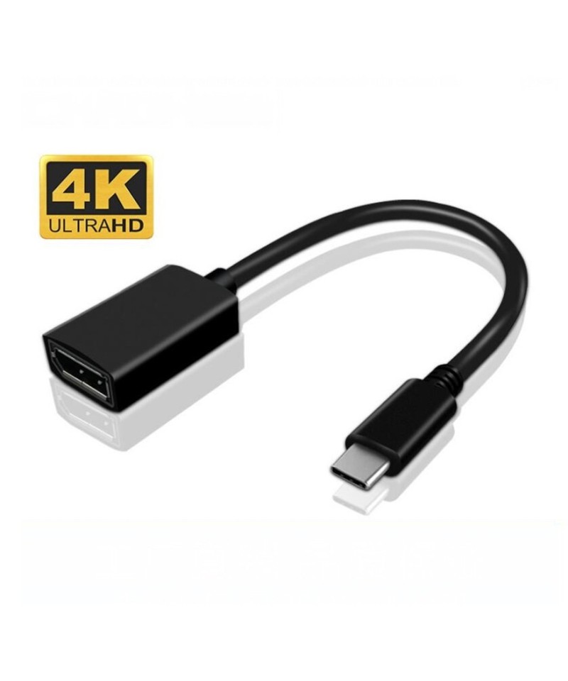 Adaptador USB-C a Display Port DP 20cm
