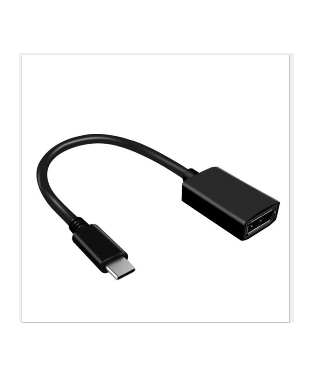 Adaptador USB-C a Display Port DP 20cm