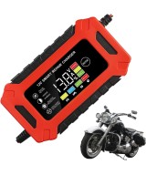 Cargador de baterias AGM/GEL/LIFEPO4 12V/24V 10A/5A