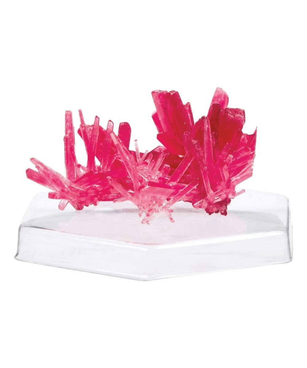 Robot Kids Experimento de cultivo de cristales